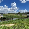 夏の雲詰め合わせてみました