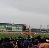 ラッキーの厳選穴馬★2/10（水）名古屋9R梅見月杯（8番ウインハイライト）など計3レースの穴馬予想、巻き返しがありそうな馬で万馬券を狙う☆