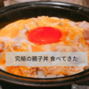 【南青山】「鶏味座 青山 本店」の親子丼が、本当に「究極」だった話。【東京グルメ旅】