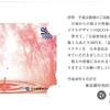 ラサ商事（3023）から株主優待が届きました（2018年3月末日銘柄）