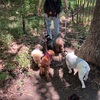 2026年5月3日🐾 今日のマヤ暦