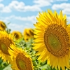  暑い夏の家事をプチ工夫！