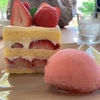 おっちょころぐ  90：『PATISSIER eS KOYAMA パティシエ エス コヤマ』のカフェへ行ってみた