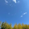 まだまだ、いや、ずっとかも