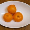 ポンカンの季節