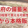 【ついに動いた！】政府の備蓄米が2,160円程度で買える可能性も！？6月から本格販売へ｜買えるお店・価格・制度を解説