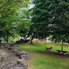 ぎんどろ公園の緑が映える