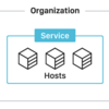 Services and Roles