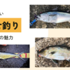 泳がせ釣りで大事なことは？