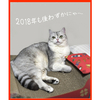 ２０１８年が･･