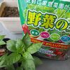 コロナ自粛だからピーマン植えました🍀