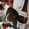 お正月の準備だにゃん