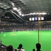 2019年プロ野球初観戦 札幌ドーム