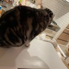 テニス頑張ったけど。。。
