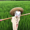 今年こそは脂の乗った丸々オデブサンマが･･･食べたい！