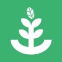 主役は水草