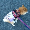 仕事きっちり、だよ