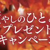 サロン ド プロ｜癒しのひとときプレゼントキャンペーン