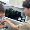 台風が明けて、ひよこと微生物と赤ちゃん