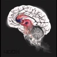 Shing02『400』(2002)｜J-HipHopの金字塔！バイリンガルMCの最高傑作