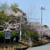 事務所の裏の公園