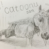 Happy birthday to catoonu-san！