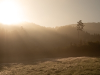 今年も遠野に雲海の季節がやってきた