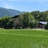減量生活とビンボー生活、しんどいのはどっち？