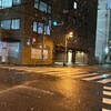 これだから東京はよーと言われそうな積雪