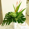 今日の生け花