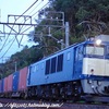 1095レ 鹿島貨物(EF64-1037)