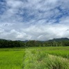 2022/07/17 日曜日　梅雨前線下がる