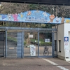千葉市動物公園のレッサーパンダに会いに行こう！動物園完全ガイド！