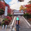 静岡県の油山寺に紅葉を見に行こう。