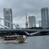 隅田川テラス13キロ：今日は昨日の疲れが残っていたか・・・5キロ過ぎから歩きが入る