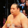 稀勢のため息。