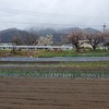 小雨の寒い日曜日