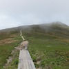 平標山･仙ノ倉山(その2)