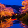 桜 Vol.14（鳥取市・鹿野城跡公園 Vol.1）