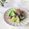 【エイジングケアに】春の食材で♪『ホタルイカと春キャベツの胡麻味噌和え』【美肌レシピ】