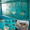 手で餌やりできる水槽 『Impossible Fish Tank』の事。