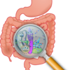 腸を元気に、プロバイオティクスの様々な使用・効果①