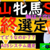 枠確定の後の最終選定、土曜重賞行きます！！雪の影響は？？中山牝馬S2024