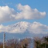 富士山とタカアシガニに関する誤解