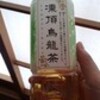 凍頂烏龍茶 500 mL