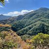 叶嶽…高祖山から廣石山（仮）へ…