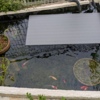 庭池のアオミドロ対策（遮光）