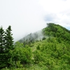 2022/07 日帰り登山 日本百名山 四阿山