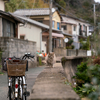 隣県離島のねこさん