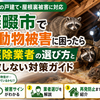 四條畷市で野生動物被害に困ったら｜害獣駆除業者の選び方と失敗しない対策ガイド